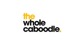 the whole caboodle